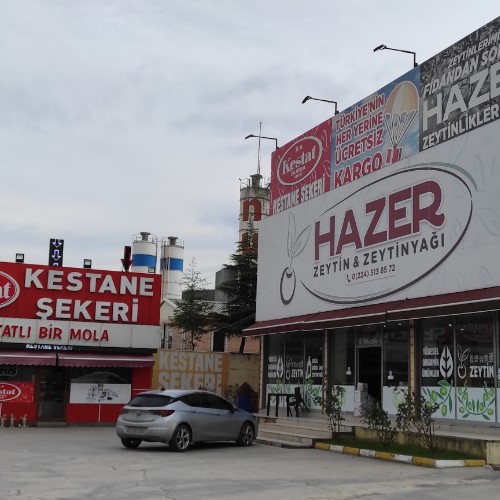 Hazer Zeytincilik